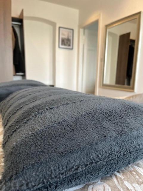 Cosy Rent Strasbourg Orangerie Tv Wifi Cathedrale Leilighet Eksteriør bilde