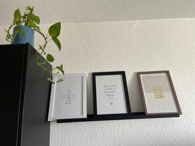 Cosy Rent Strasbourg Orangerie Tv Wifi Cathedrale Leilighet Eksteriør bilde