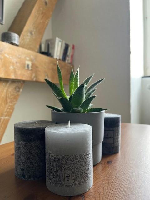 Cosy Rent Strasbourg Orangerie Tv Wifi Cathedrale Leilighet Eksteriør bilde